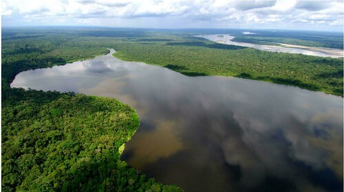 Điểm báo Pháp - Phục hồi "thiên nhiên hoang dã" | Vietnam Fraternité