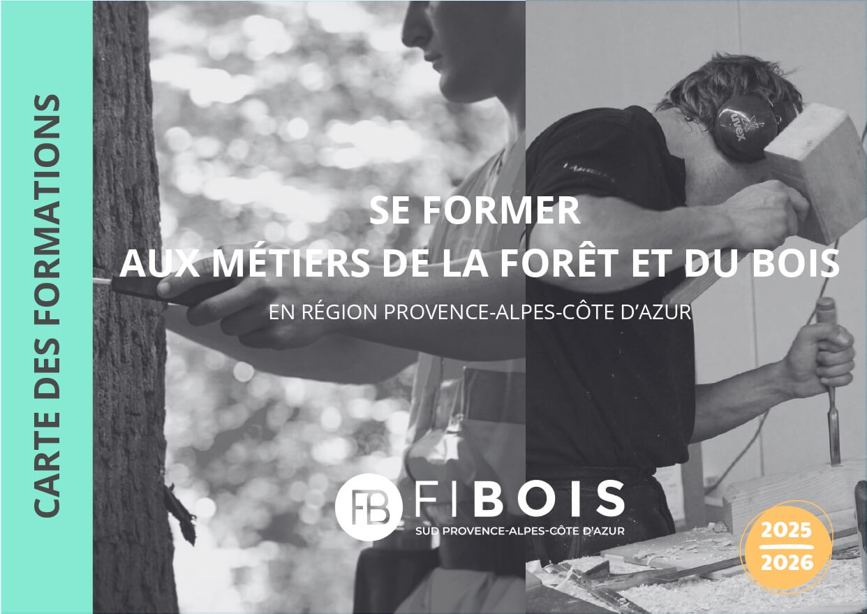 ORIENTATION | Carte des formations forêt bois 2025/2026 | Fibois Sud