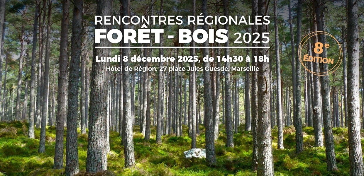 INVITATION | Rencontres régionales de la filière forêt-bois | 8 décembre | Fibois Sud
