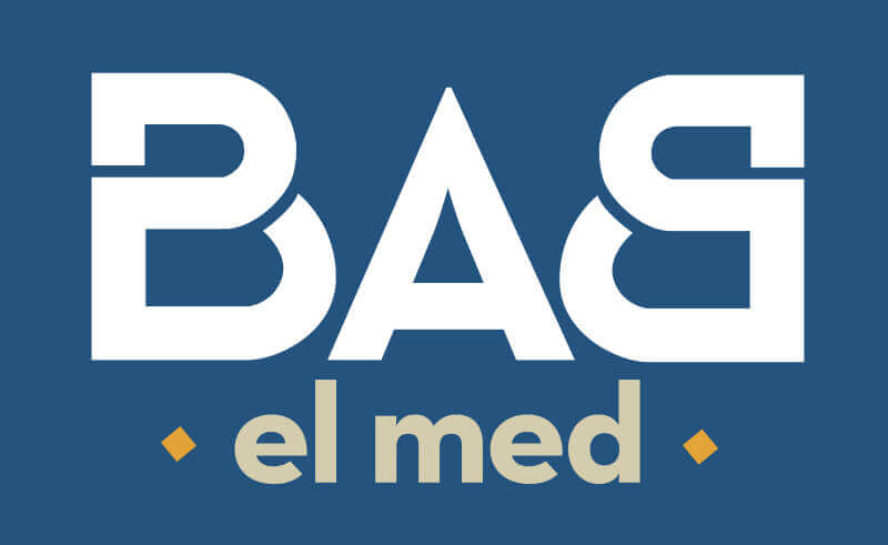 Libraries in Egypt | Babelmed
