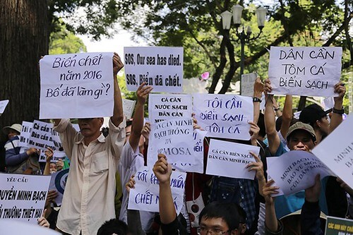 Người trẻ Việt Nam và công tác bảo vệ môi trường | Vietnam Fraternité