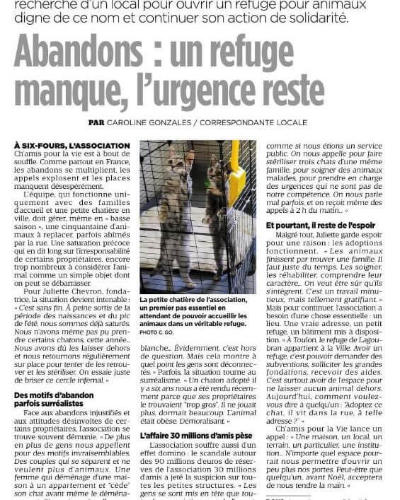 Abandons : un refuge manque, l'urgence reste | Ch'amis pour la vie