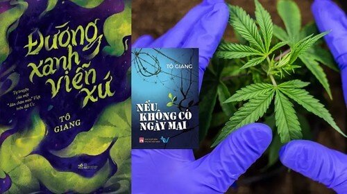 Cần sa và ảo mộng làm giàu của người Việt nơi xa xứ | Vietnam Fraternité