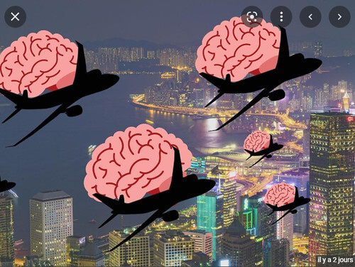 Hồng Kông chảy máu chất xám | Vietnam Fraternité