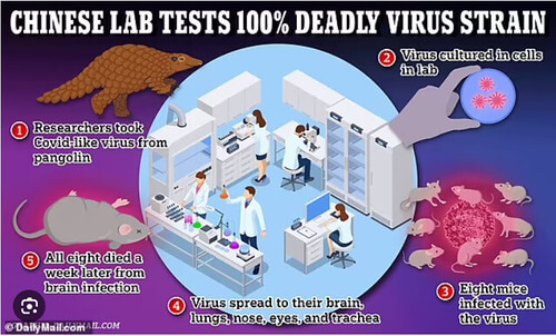 Vì sao giới khoa học "dậy sóng" về nghiên cứu virus chết người của Trung Quốc ? | Vietnam Fraternité