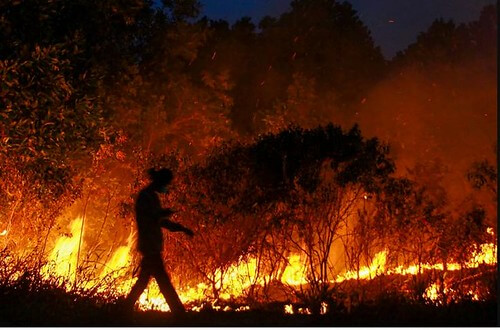 Biến đổi khí hậu 2021 : Thiên tai kinh hoàng hơn, tổn thất nặng nề hơn | Vietnam Fraternité