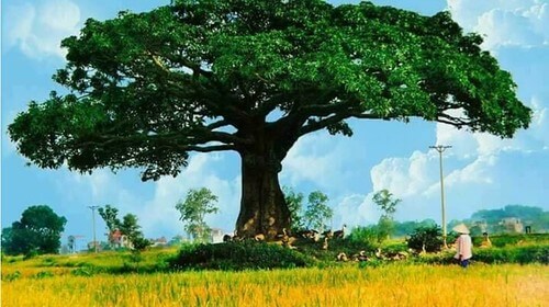 Du lịch Việt Nam tìm hướng thích nghi với Covid | Vietnam Fraternité