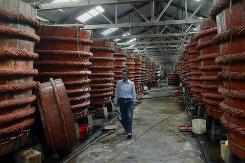 Hết hồn nhà thơ quảng cáo nước mắm một triệu đồng/lít | Vietnam Fraternité