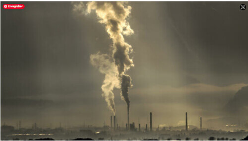 Tháng nóng nhất trong lịch sử, cháy rừng tại Siberia | Vietnam Fraternité