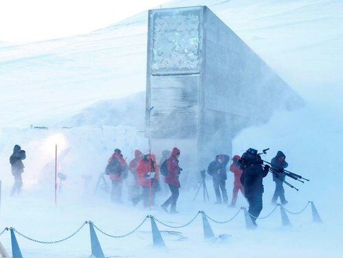 Những con tàu Noah hoàn hảo | Vietnam Fraternité