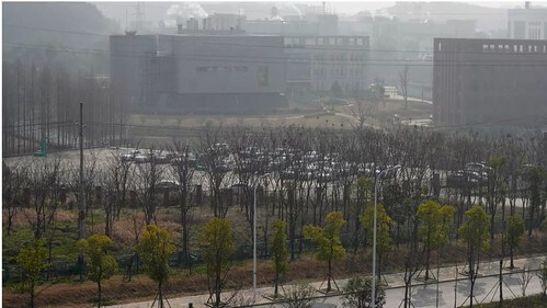 Virus Covid-19 xuất phát từ đâu ? Bắc Kinh thanh lọc thông tin | Vietnam Fraternité