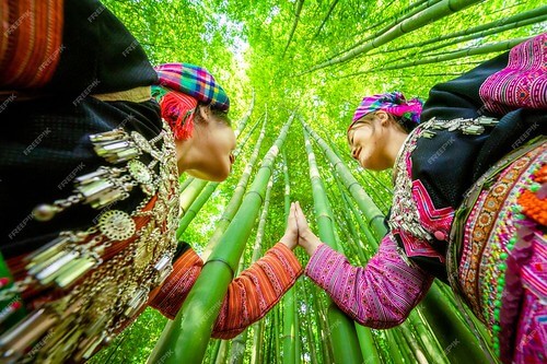 Con rồng tre Việt Nam ra tay tế thế | Vietnam Fraternité