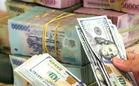 Việt Nam thao túng tiền tệ ? | Vietnam Fraternité