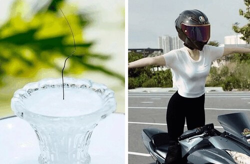 Tương lai từ năm cũ : Người tài vẫn phải rời bỏ đất nước… | Vietnam Fraternité