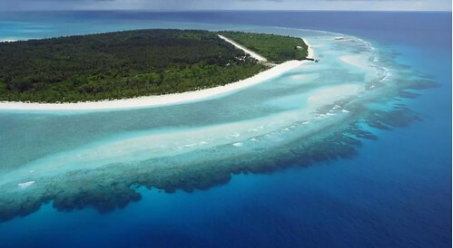 Bảo vệ Đa dạng sinh học : Cộng đồng quốc tế đối mặt với các thất bại cay đắng | Vietnam Fraternité