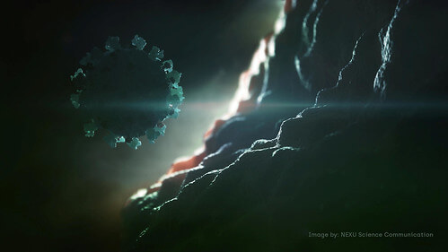 Cội rễ của đại dịch Covid-19 : Phá hủy rừng già, tận diệt thú hoang | Vietnam Fraternité