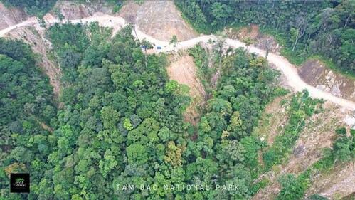Khu Du lịch Sinh thái Tam Đảo bị làm thịt từ tứ phía | Vietnam Fraternité