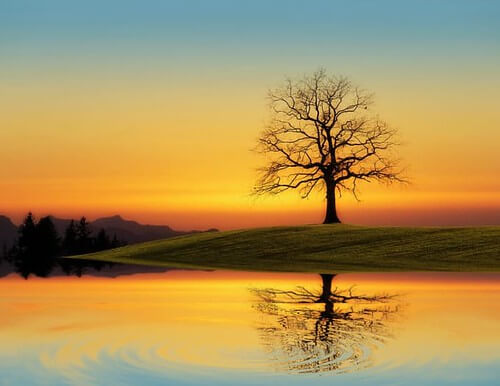 Vắc-xin Trung Quốc : không nên xem thường mạng sống người dân | Vietnam Fraternité