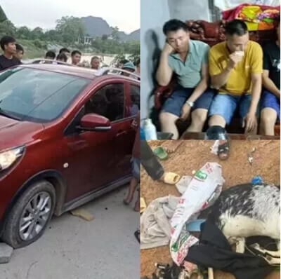 Công an săn trộm thú nuôi của dân : vì đói hay vì gian ? | Vietnam Fraternité