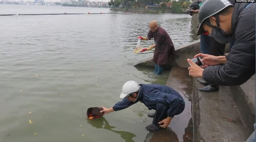 Phóng sinh và văn minh | Vietnam Fraternité