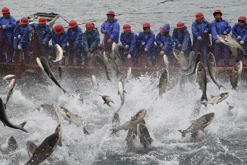 Kiện Trung Quốc, cần tìm lý do gì ? | Vietnam Fraternité