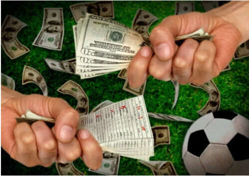 Bàn về sự an toàn của cá độ bóng đá | Vietnam Fraternité