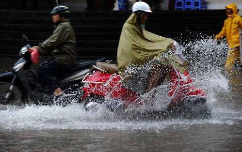 Hà Nội buộc Dân phải làm gì và được làm gì ? | Vietnam Fraternité