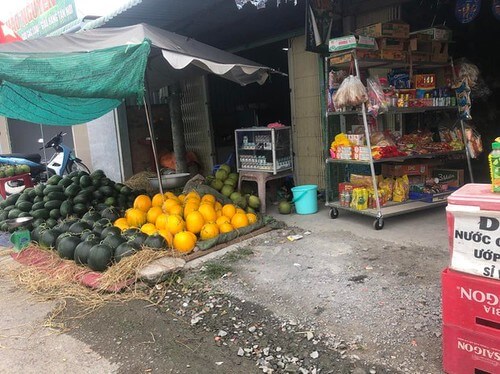 Ấn tượng Tết Nhâm Dần : Bỏ chợ ra đường ! | Vietnam Fraternité