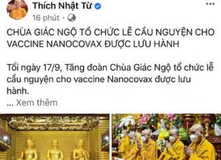 Nhóm lợi ích nào đứng sau Thượng tọa Thích Nhật Từ ? | Vietnam Fraternité