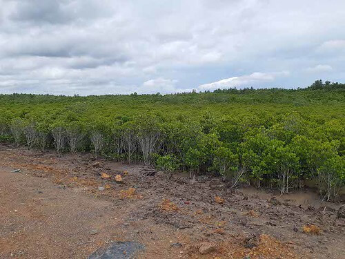 Cần Giờ cần ‘cơ chế mềm’ như Phú Quốc để làm gì ? | Vietnam Fraternité