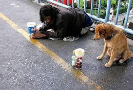 Những bức ảnh buồn cuối năm | Vietnam Fraternité