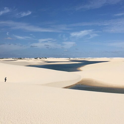 Phải chăng mô hình dân chủ đang suy yếu, mô hình độc tài đang lên ? | Vietnam Fraternité