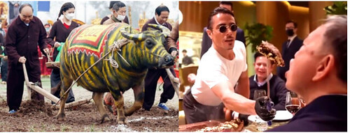 Hai cú đột phá của hai ông trùm | Vietnam Fraternité