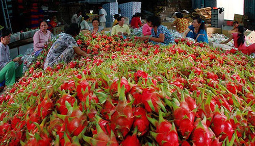 Vũ khí lợi hại ‘tức thì’ để Trung Quốc mặc cả với Việt Nam : thương mại | Vietnam Fraternité
