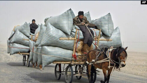 Dân Uyghur sống trong nạn diệt chủng | Vietnam Fraternité