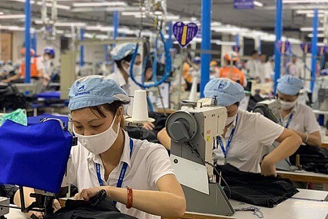 Kinh tế Việt Nam trên chuyến tàu cập bến EVFTA thời Covi | Vietnam Fraternité