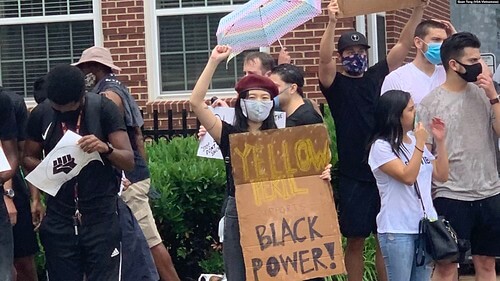 Bầu cử Tổng thống Mỹ : Luật sư Kiều Ngọc và cử tri gốc Việt | Vietnam Fraternité