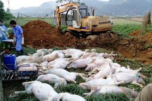 Một năm dài không thể dài hơn ! | Vietnam Fraternité