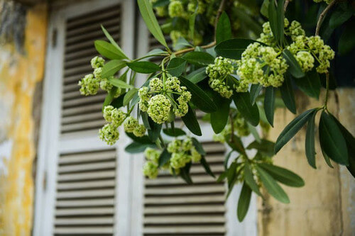 Vương Đình Huệ đọc thơ tình để ngụy biện tăng giá điện | Vietnam Fraternité