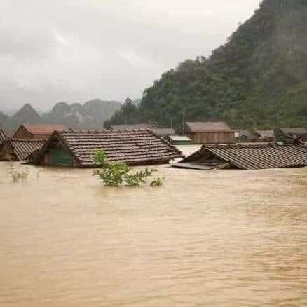 Từ thiện và cứu trợ, câu chuyện chưa có hồi kết | Vietnam Fraternité