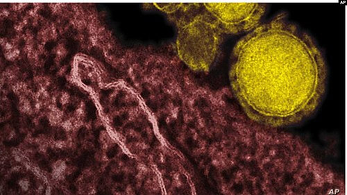 nCoV làm mất niềm tin vào chế độ | Vietnam Fraternité