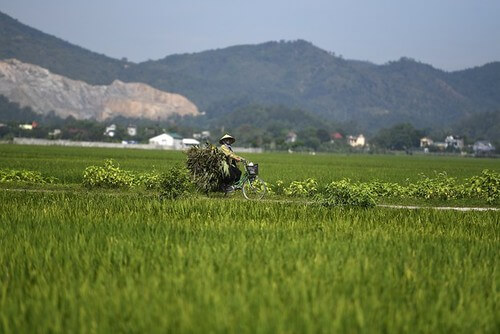 Đại hội 13 : Cải cách ‘đất đai’ góp phần chống tham nhũng từ gốc | Vietnam Fraternité