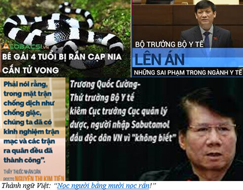 Giữa Rắn & Người | Vietnam Fraternité