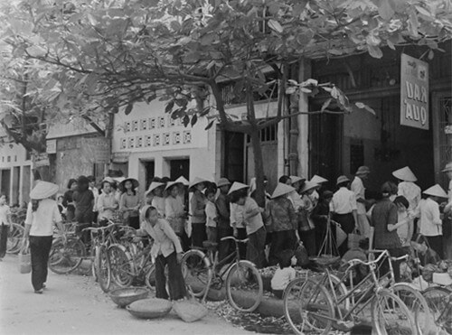 ATM gạo và một chấm mực đen, một vệt mực dài… | Vietnam Fraternité