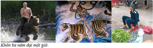 Gấu Nga/Cọp giấy & Bộ đội cụ Hồ | Vietnam Fraternité