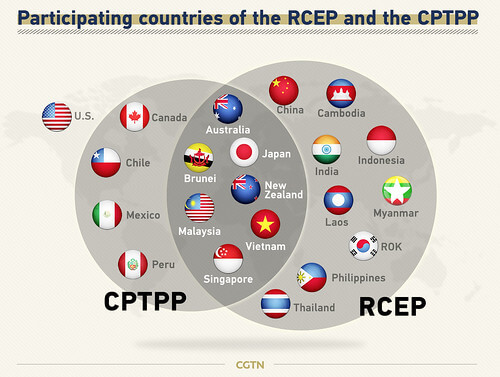 Nhìn lại RCEP : Những ẩn ý với Mỹ và Việt Nam | Vietnam Fraternité