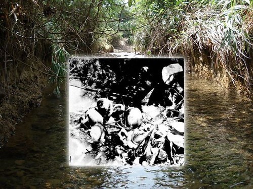 Sổ đen Mậu thân | Vietnam Fraternité