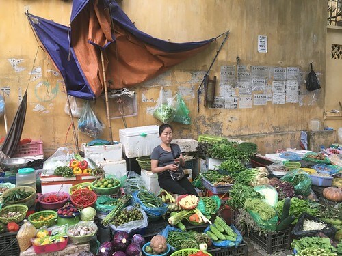 Tại sao kinh tế thị trường cứ phải định hướng xã hội chủ nghĩa ? | Vietnam Fraternité