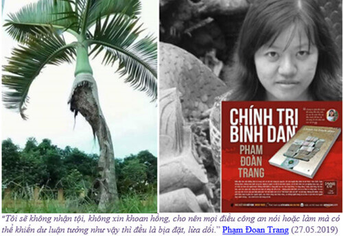 Tù nhân Phạm Đoan Trang | Vietnam Fraternité