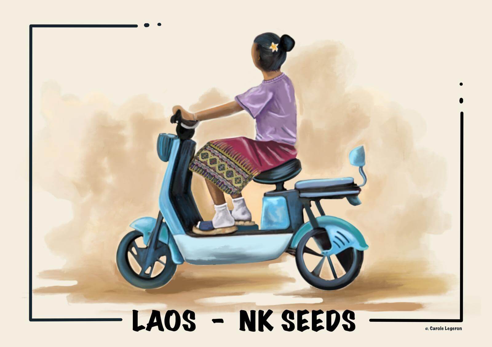 Carte postale | NK Seeds